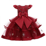 Embroidered Tutu Dress for Girls - Rey.me