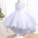 Elegant Baby Lace Princess Dress - Rey.me