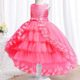 Elegant Baby Lace Princess Dress - Rey.me