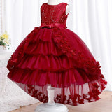 Elegant Baby Lace Princess Dress - Rey.me