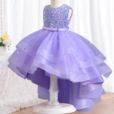 Elegant Baby Lace Princess Dress - Rey.me