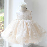 Girls' Lace Tulle Princess Dress - Rey.me