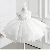 Girls' Lace Tulle Princess Dress - Rey.me