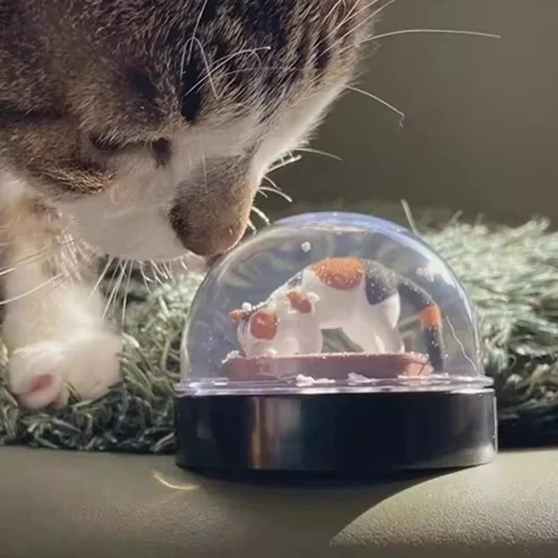 Kawaii Cat Snow Globe - Rey.me