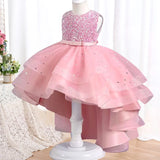 Elegant Baby Lace Princess Dress - Rey.me