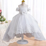 Elegant Baby Lace Princess Dress - Rey.me