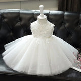 Girls' Lace Tulle Princess Dress - Rey.me